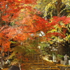 『鷲林寺にて　参』