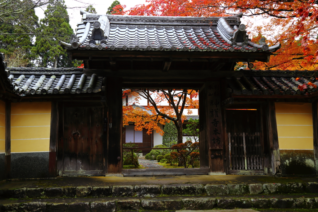 『神護寺にて』