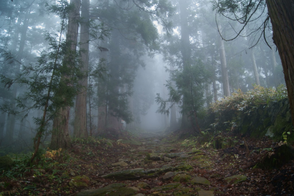 霧の山道