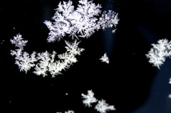 Snow crystal*