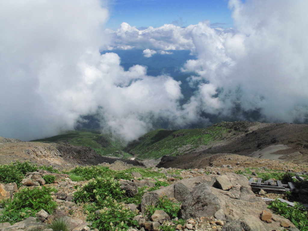 御嶽山の自然