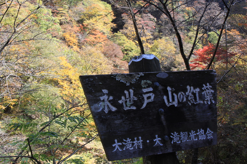 中津峡の名所