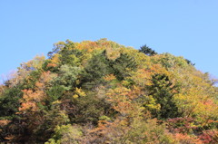 中津峡の紅葉１０３０