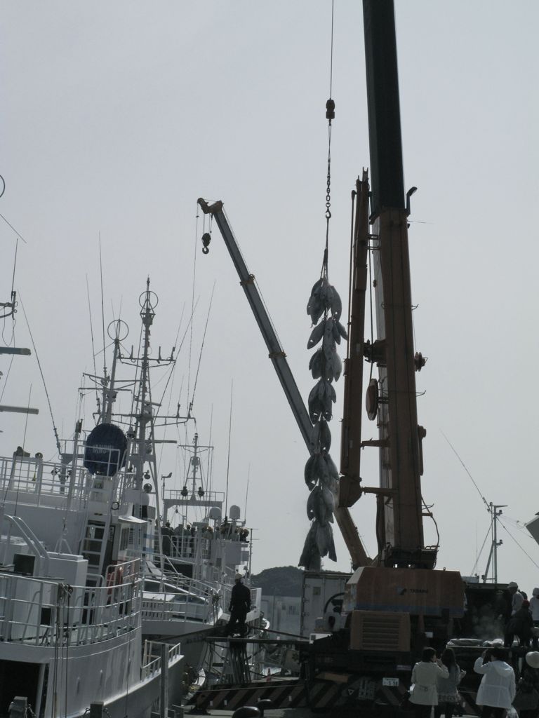 魚釣り中