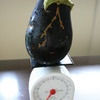 自家製のなす１