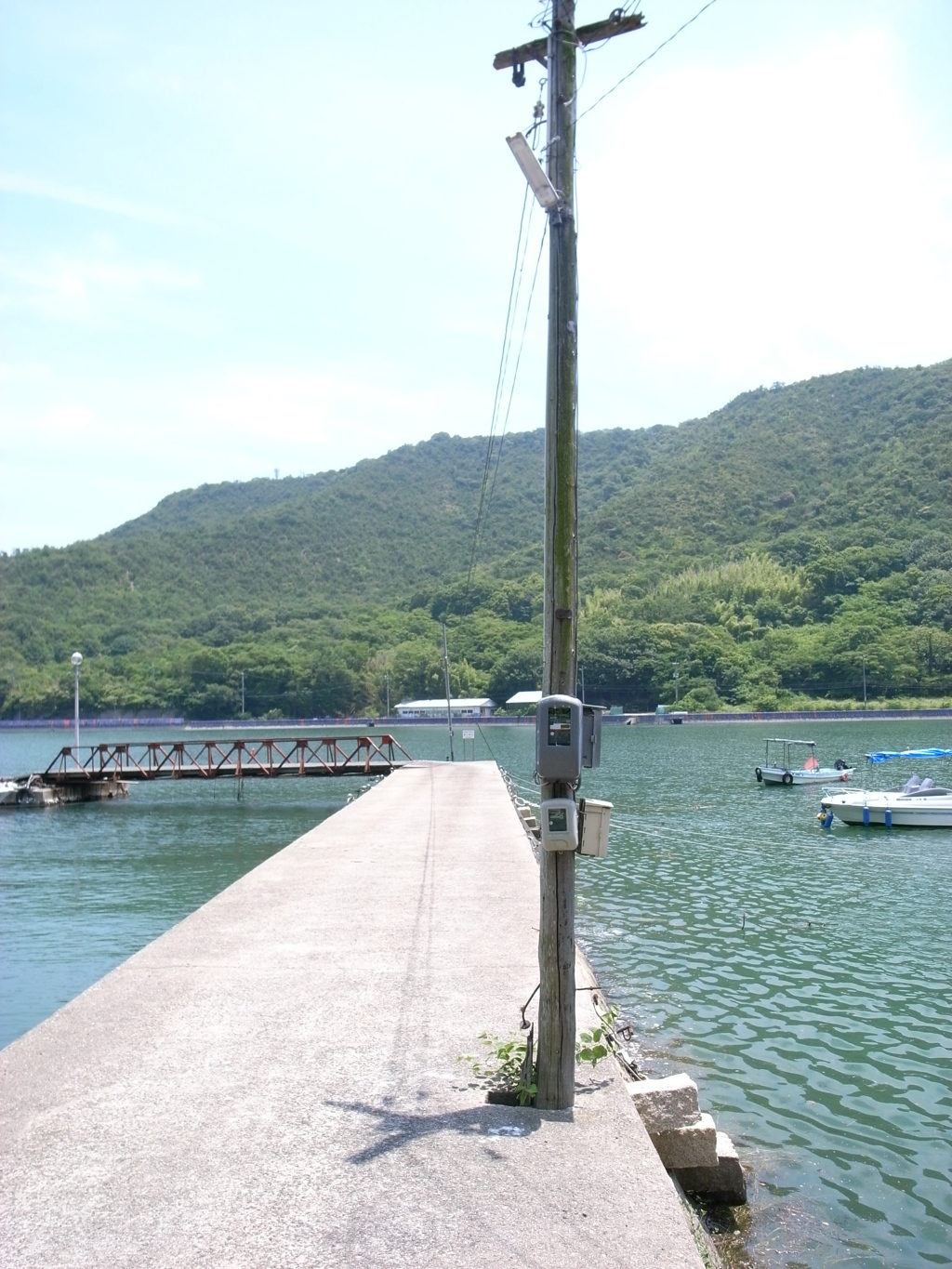海