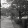 古の道