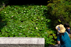 親子