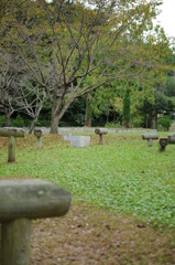 なんのためにあるの？