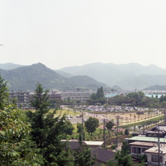 山口大学