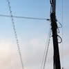 電柱