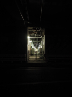 夜