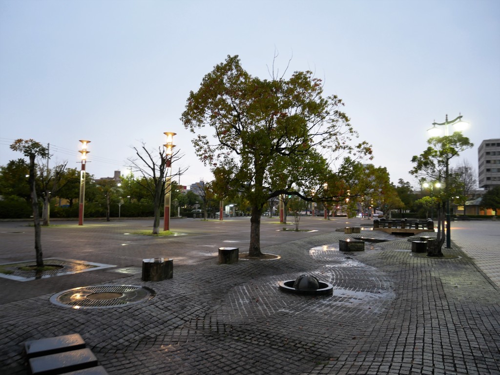 雨のスナップ