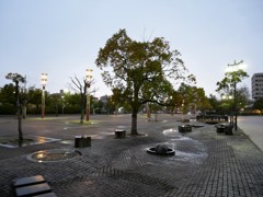 雨のスナップ
