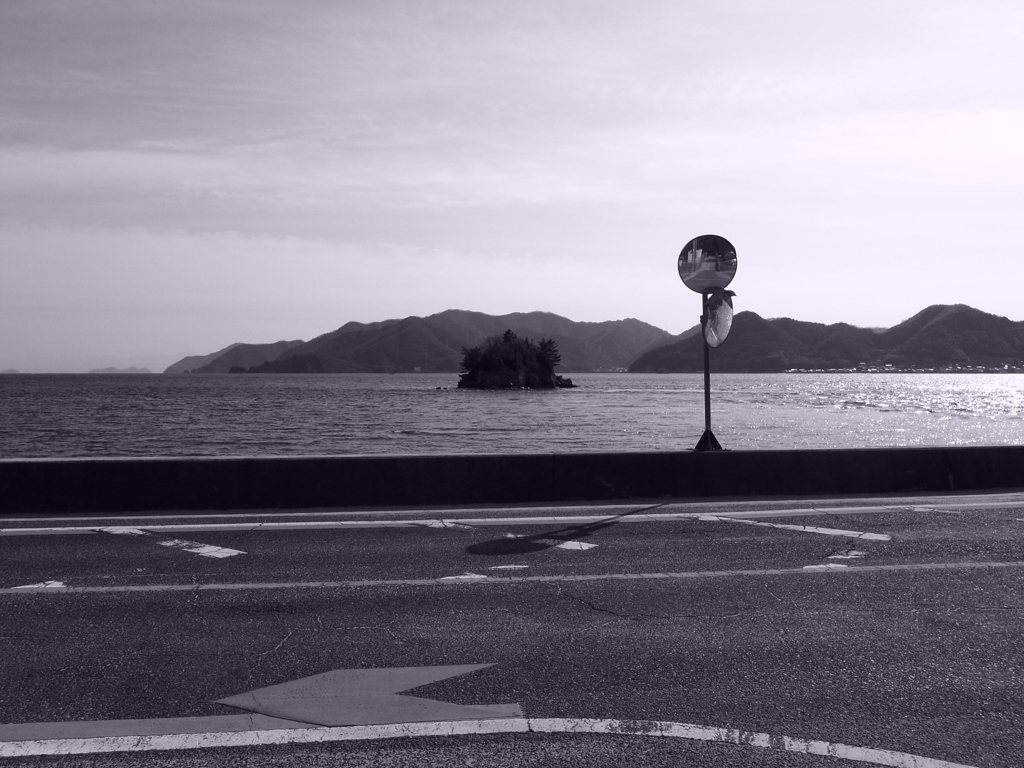 海