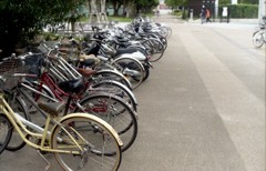 色とりどり