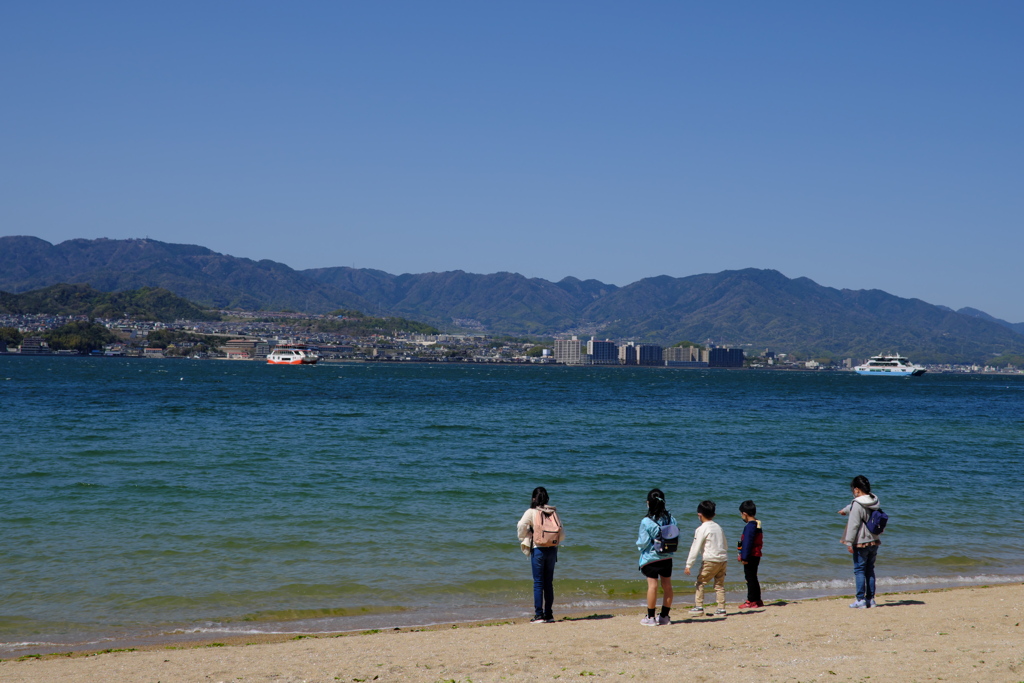 海