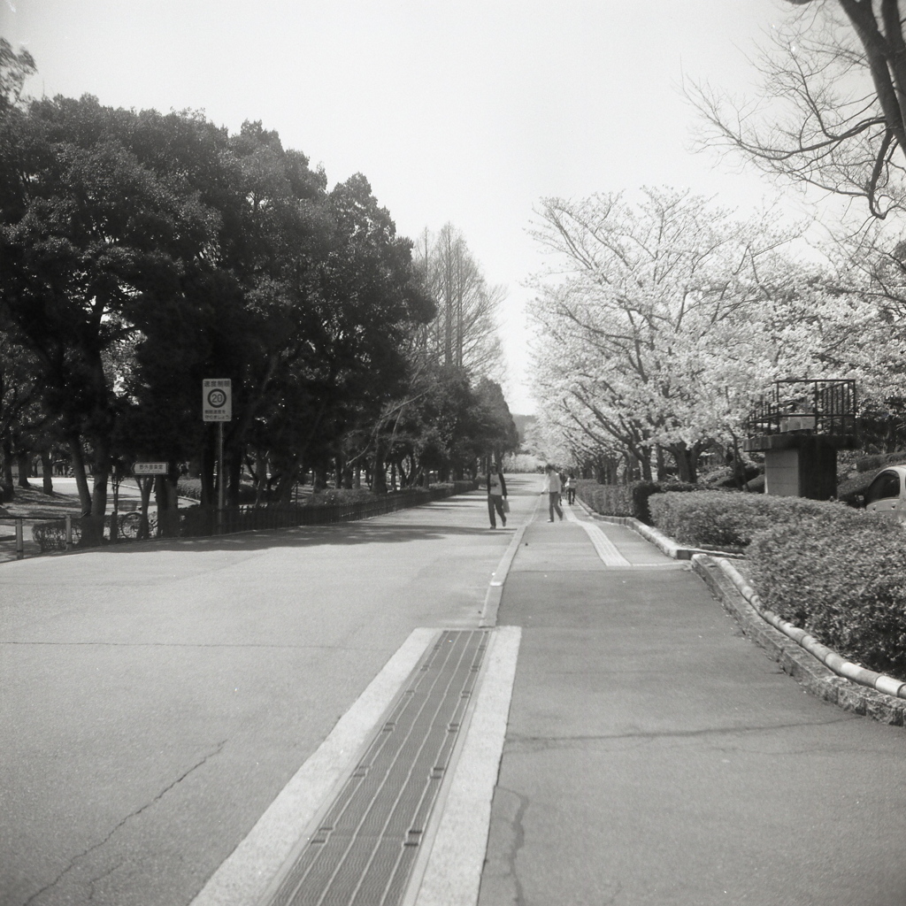 道