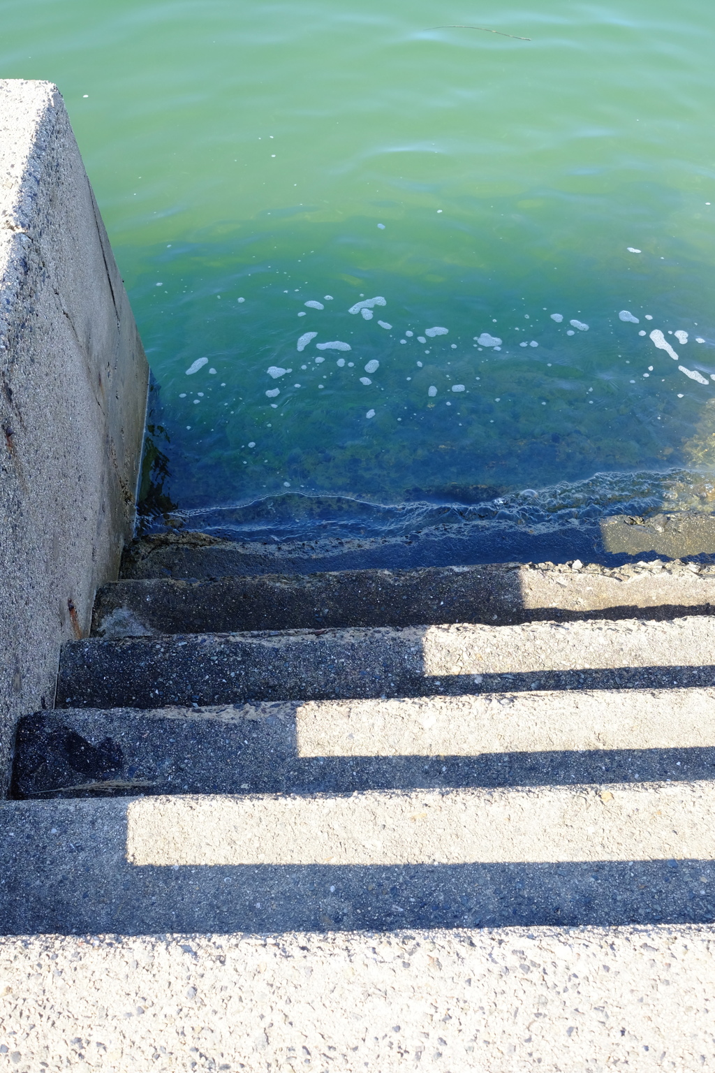 海