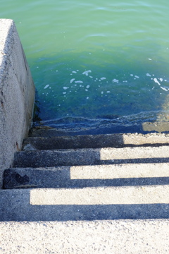 海