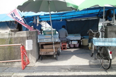 背中