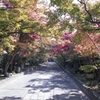 龍福寺参道