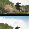国宝　五重塔