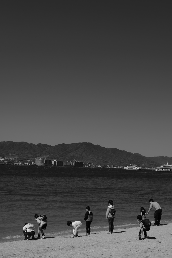 海