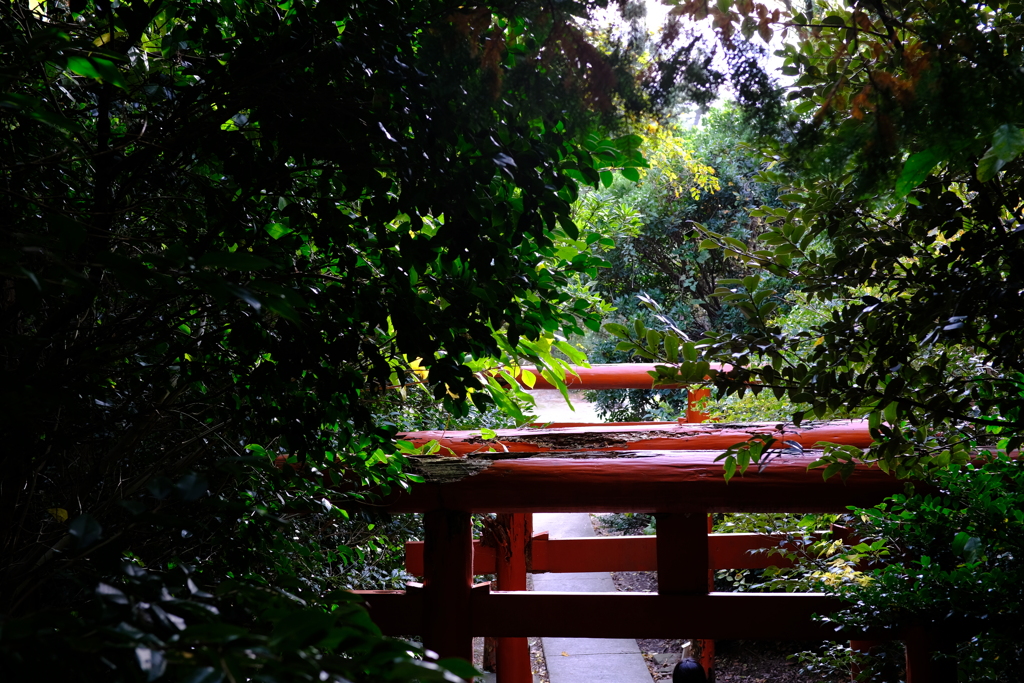 鳥居