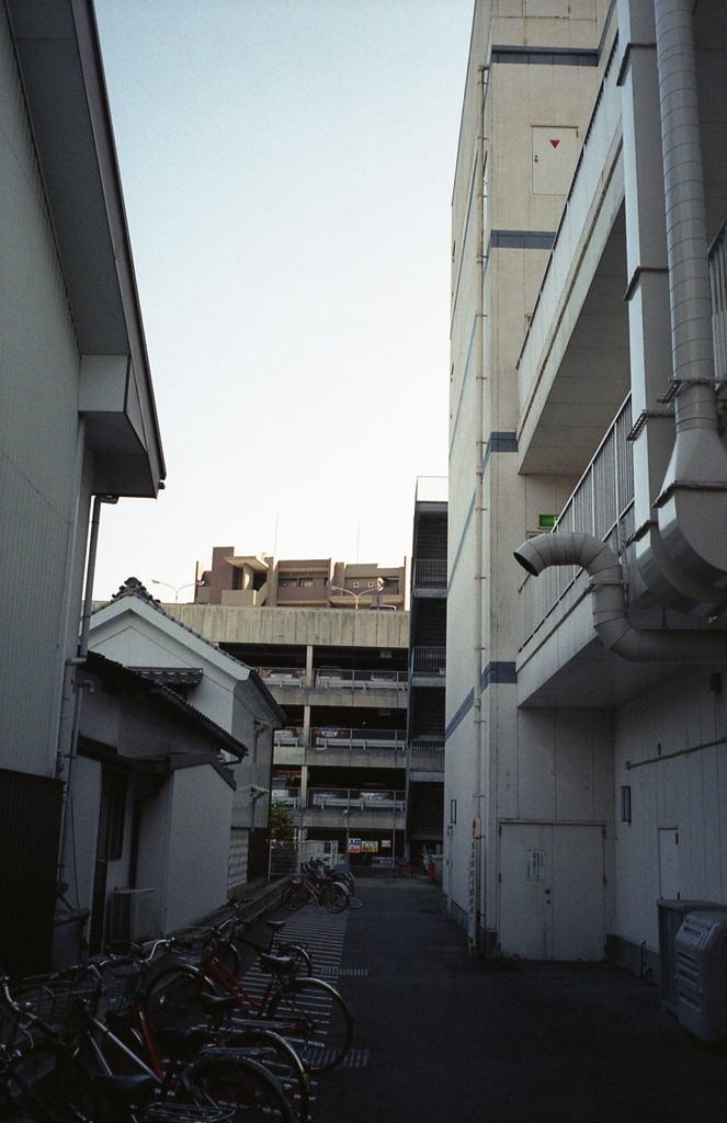 裏