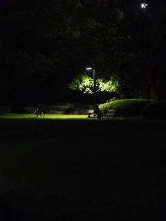 黄昏