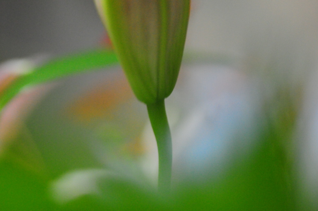 幻想