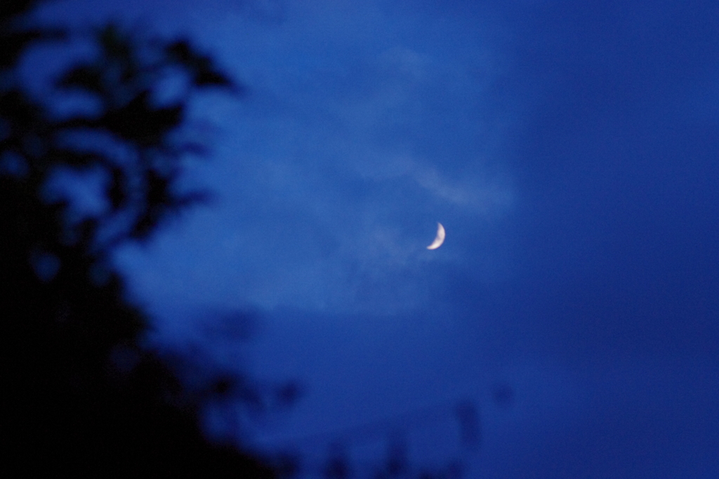 雲間の三日月