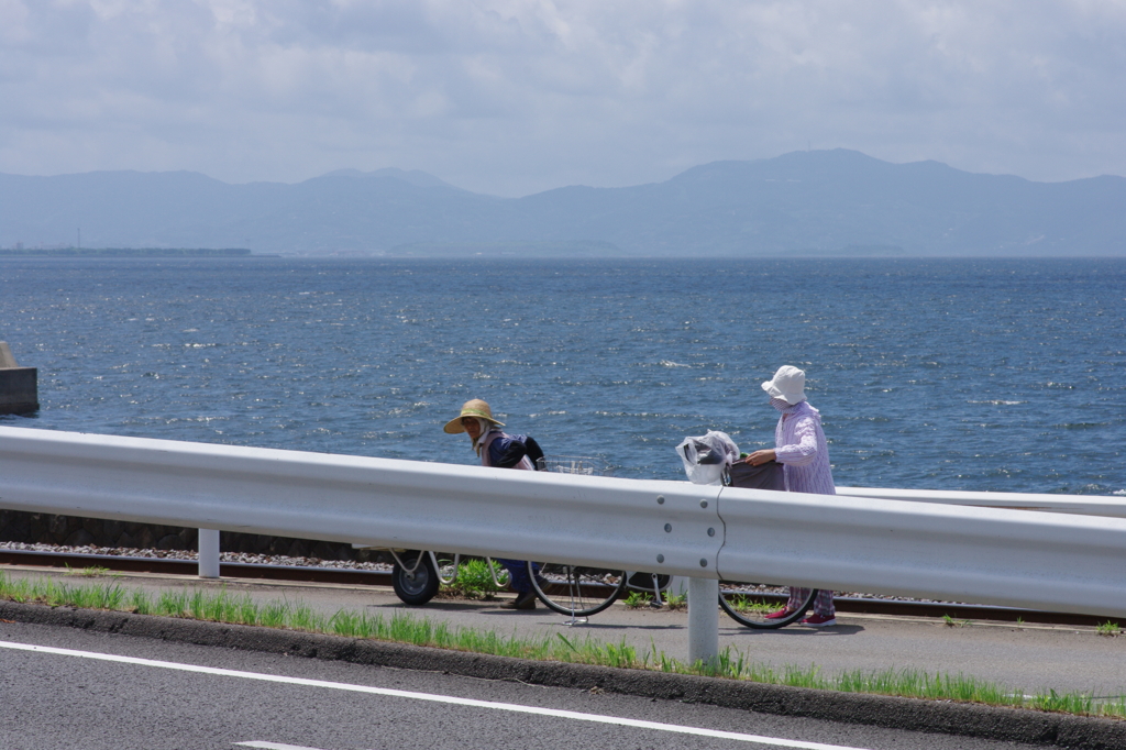夏のあいさつ