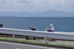 夏のあいさつ