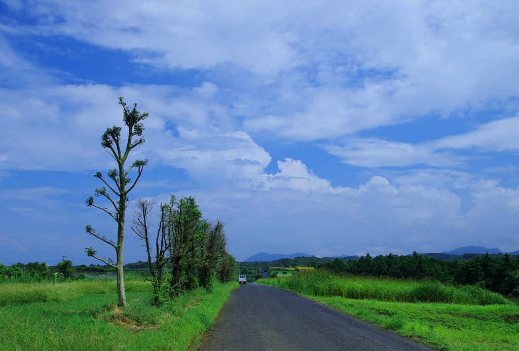 夏の山道