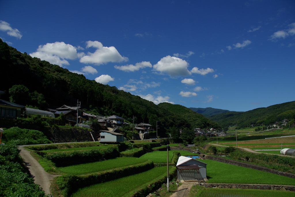 農村の夏
