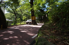 ちょっと通りづらい道