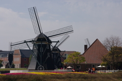ＨＴＢ17