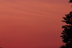 近所の夕焼け