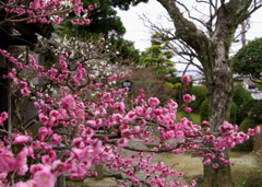 楠本家屋敷跡