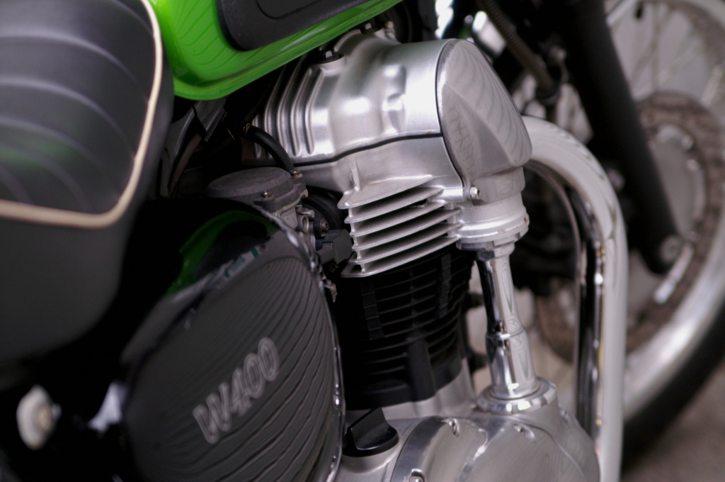 Kawasaki color