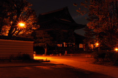 夜の建仁寺