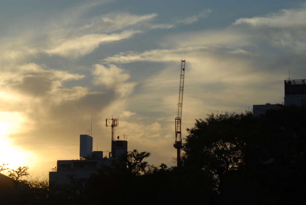 鴨川 in 夕焼け