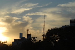 鴨川 in 夕焼け
