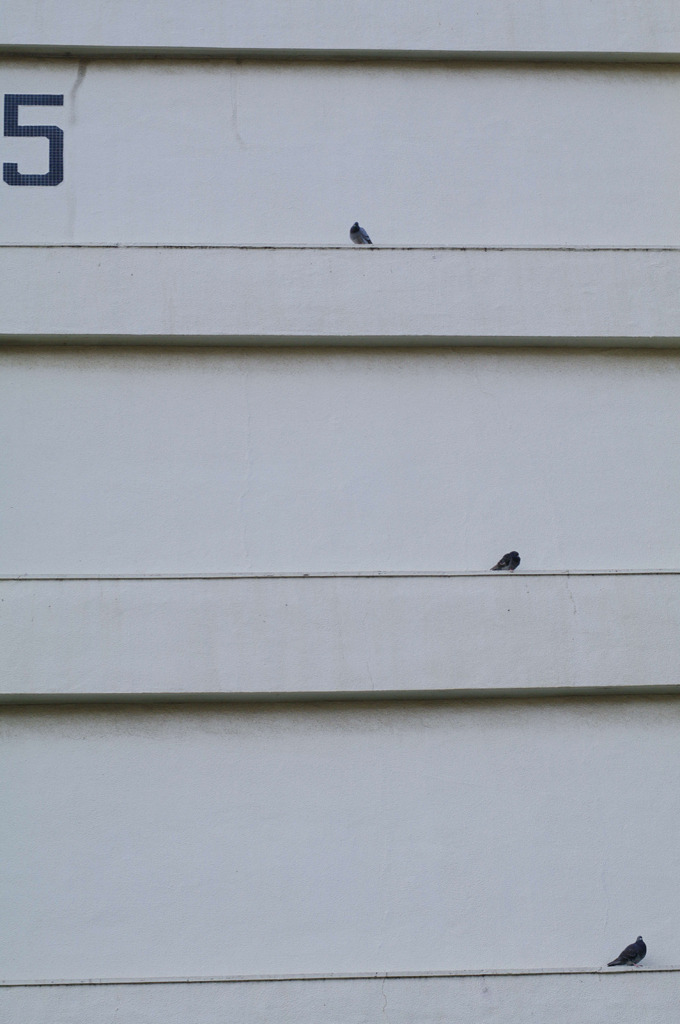 整列！空母に待機中