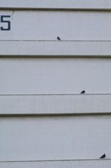 整列！空母に待機中