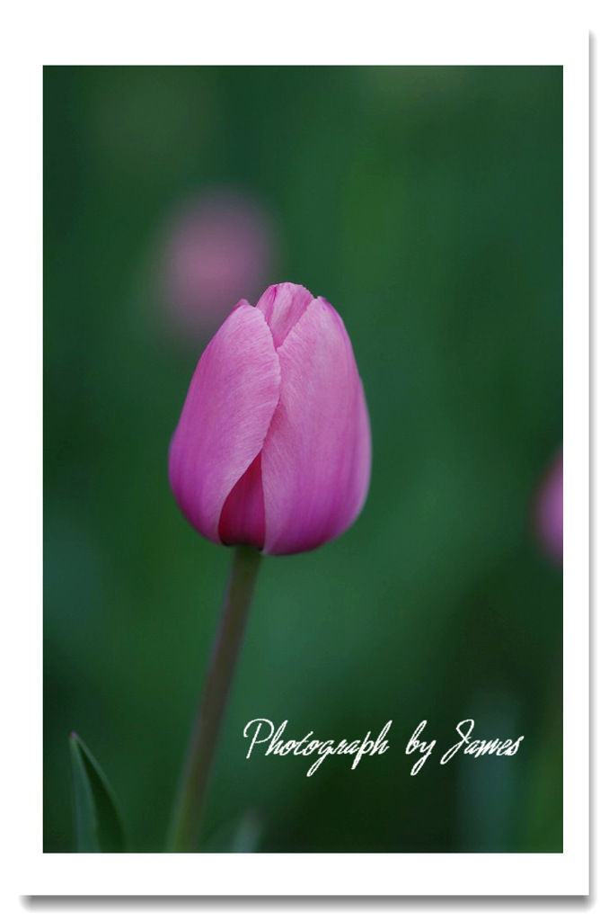 IKHIIIV](IHAGQ7{_KNB98E