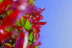 「夏」かなぁ？！