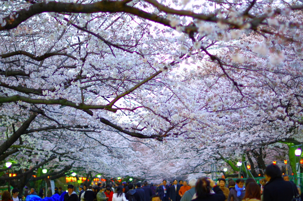 上野公園